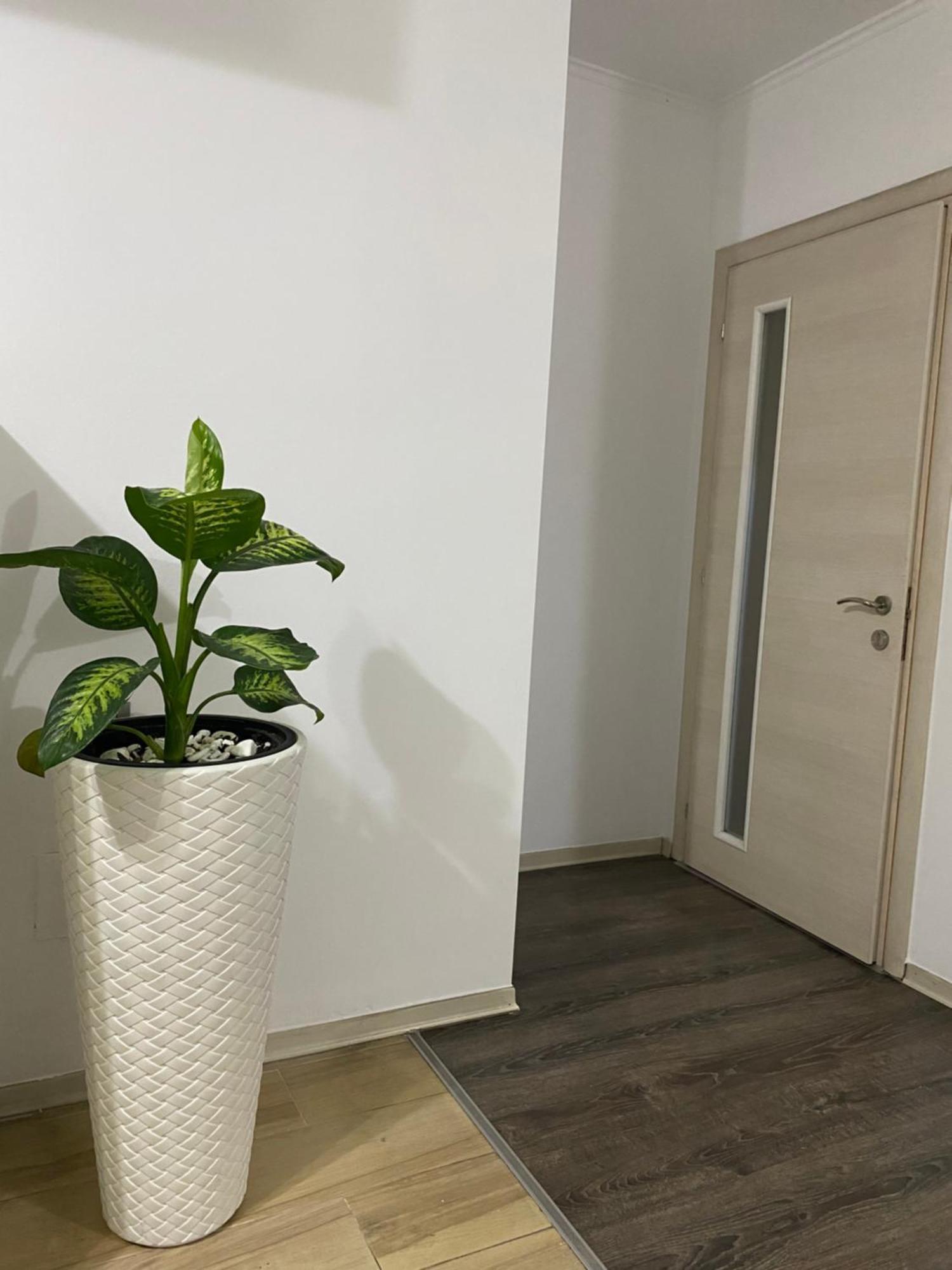 Main Apartment Tirana Exteriör bild